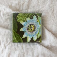 Passion Flower oil painting
