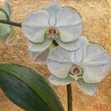 white moth orchid painting
