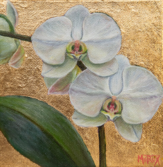 white moth orchid painting