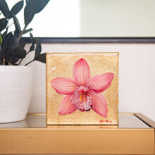 Pink orchid on shelf