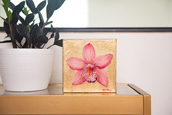 Pink orchid on shelf