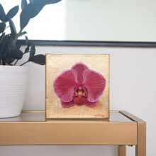 moth orchid painting
