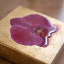 Purple moth orchid resin