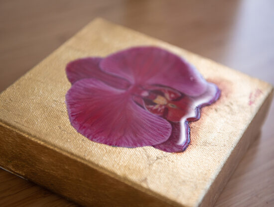 Purple moth orchid resin
