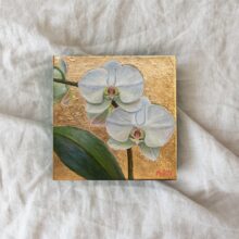 White Moth Orchid painting to buy