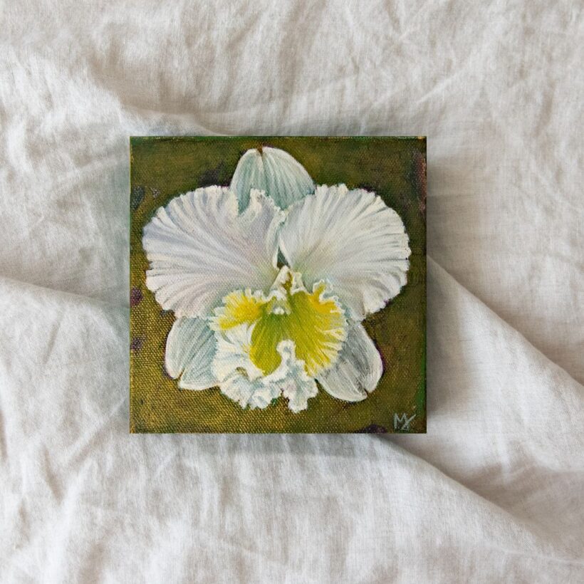 White Cattleya art
