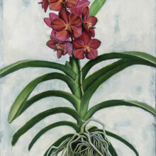 Vanda orchid painting