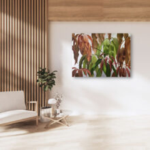 Mango leaf oil painting