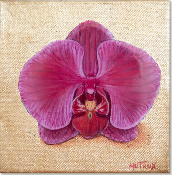 Purple moth orchid