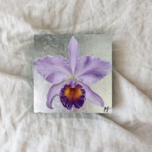 purple and yellow orchid