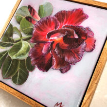 desert rose painting