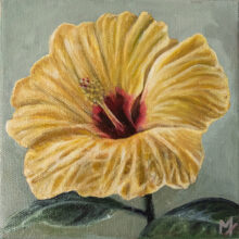 Yellow Hibiscus