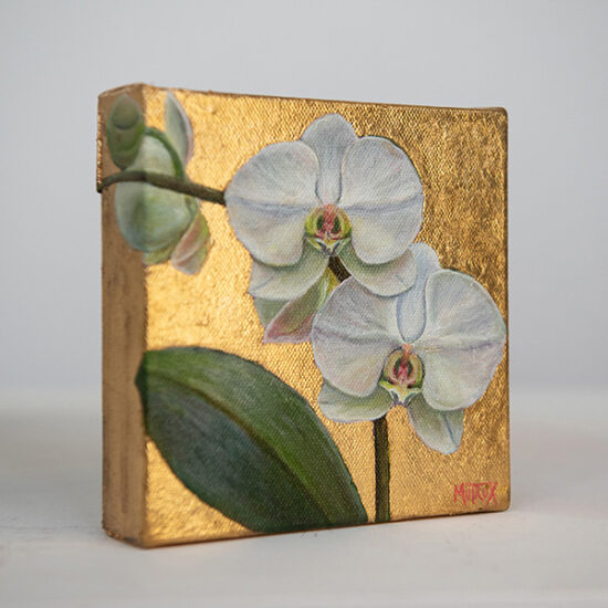 White Moth Orchid oil painting