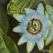 Passion Flower Art
