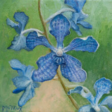 Vanda Violetta Orchid