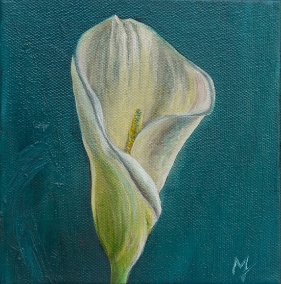 Calla Lilly painting