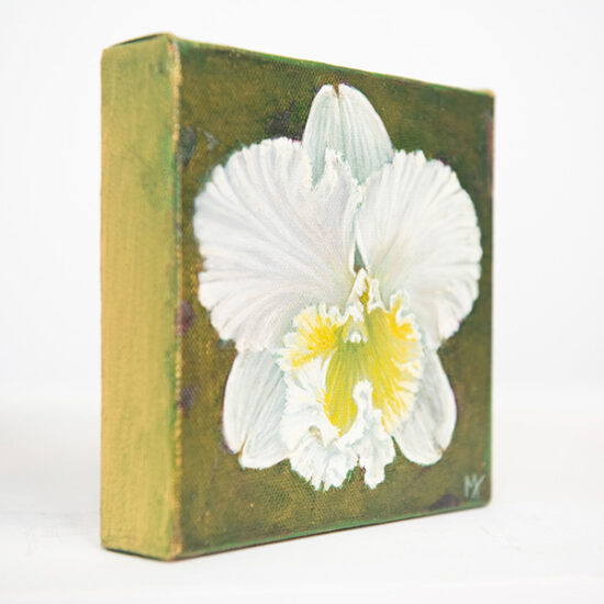 White Cattleya painting