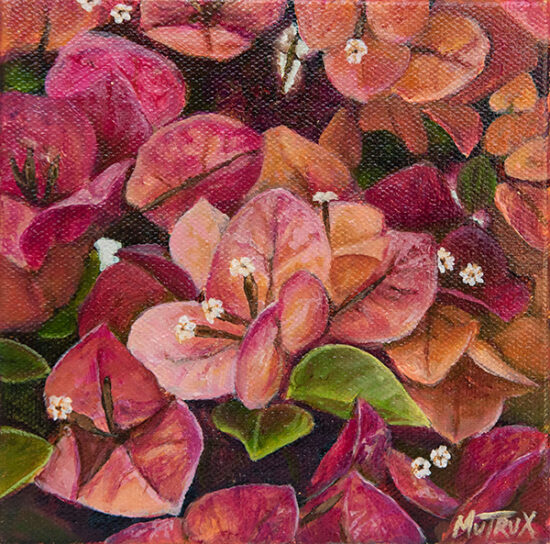 Bougainvillea oil painting