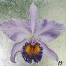 Violet Cattleya
