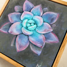 Graptoveria Opalina painting