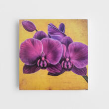 Purple orchid cards