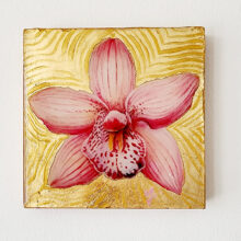 Pink Cymbidium orchid