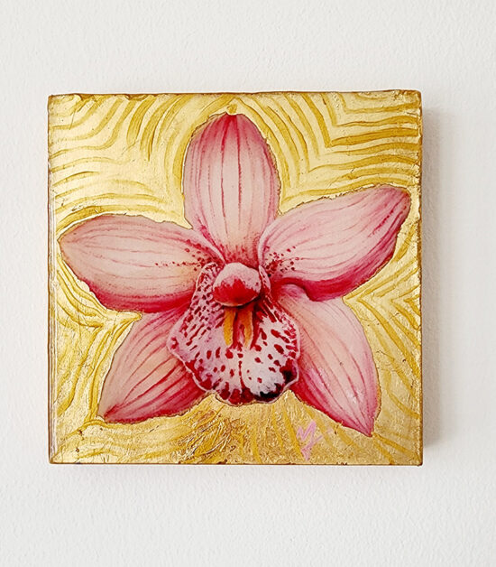 Pink Cymbidium orchid