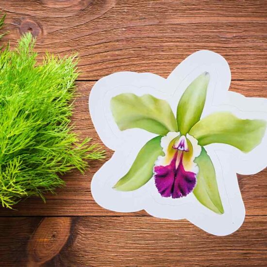Orchid sticker