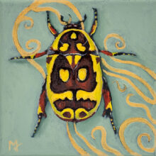 Pachnoda Fissipunctum Study