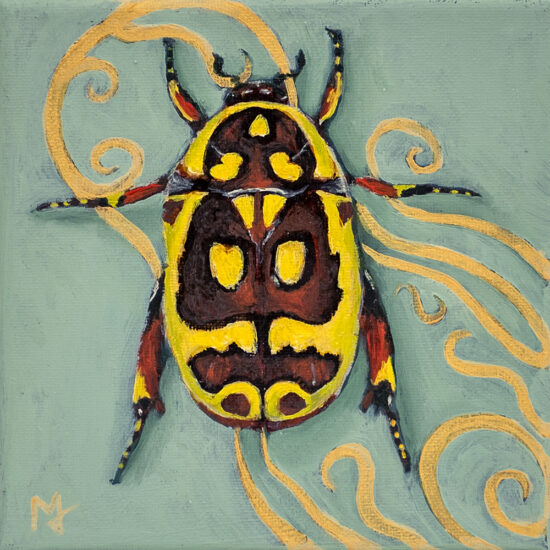 Pachnoda Fissipunctum Study