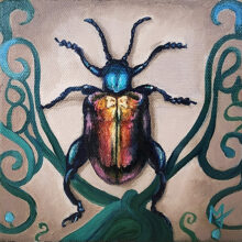 Rainbow Frog Legged Leaf Beetle Study