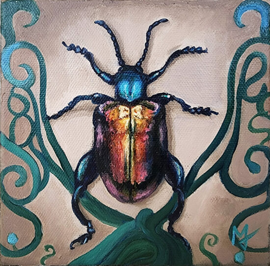 Rainbow Frog Legged Leaf Beetle Study