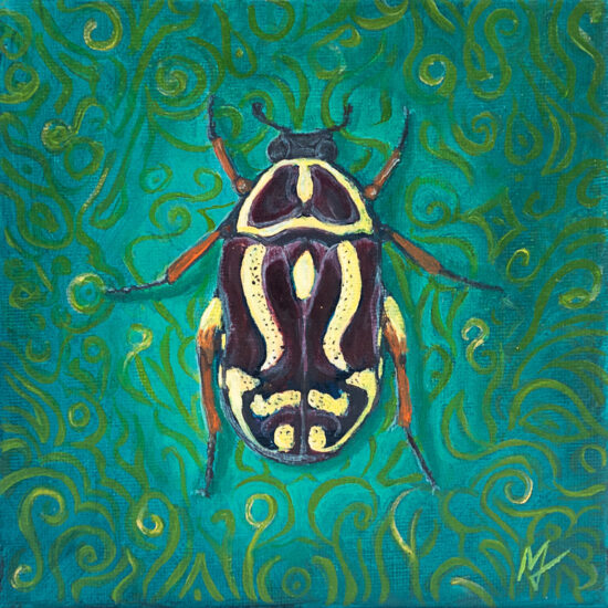 Eupoecila Australasiae