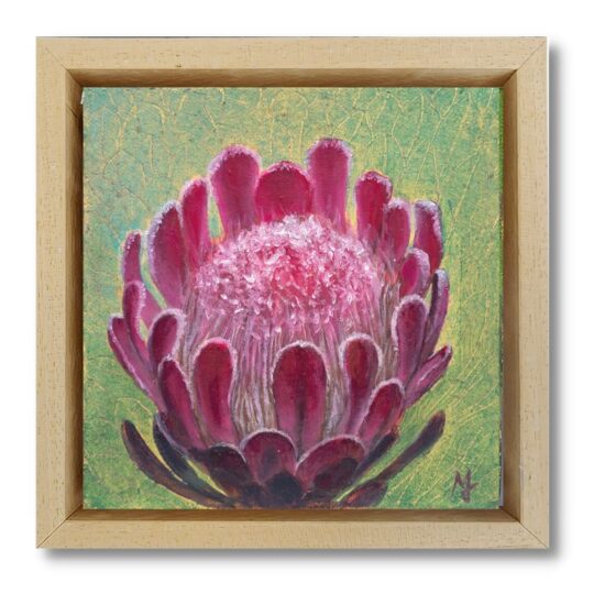Protea