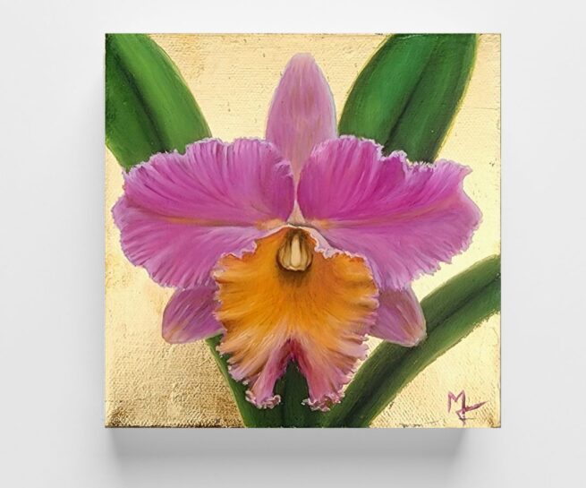 Pink Cattleya