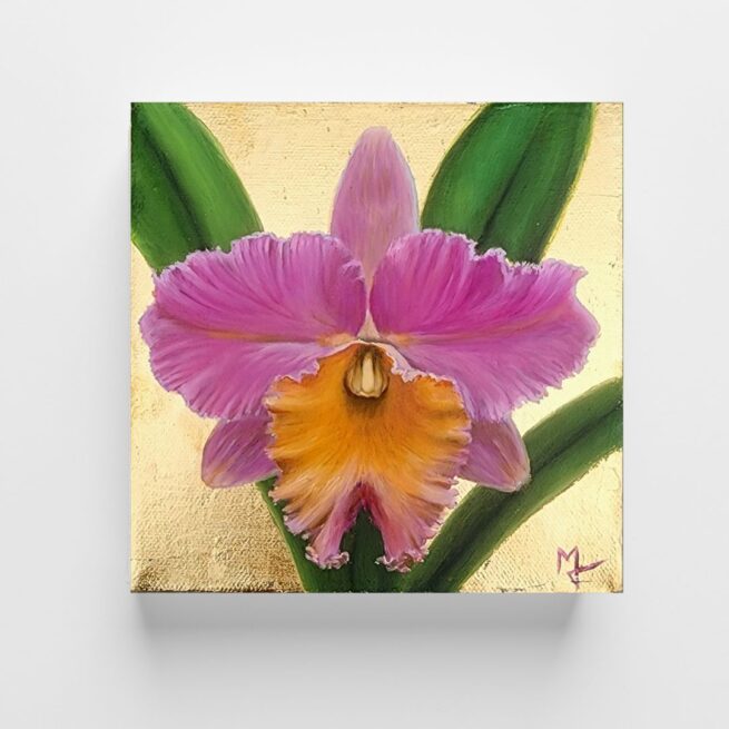 Pink Cattleya