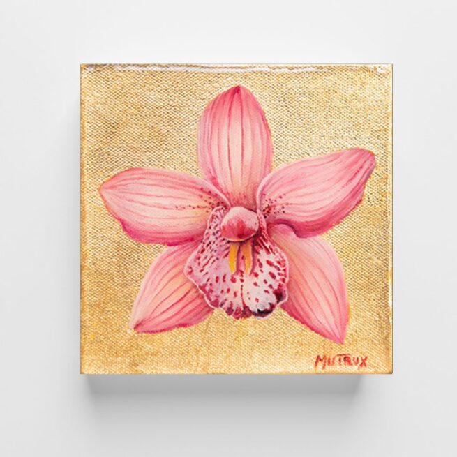 Pink Cymbidium