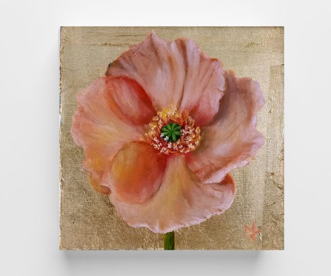Peach Poppy