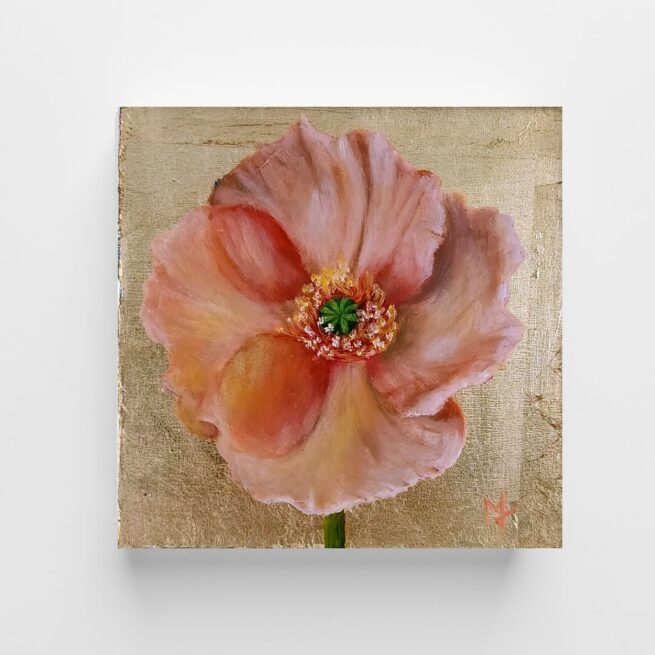 Peach Poppy