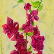 bougainvillea3_Marni_mutrux